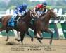 AP Indian wins Belmont Sprint Championship