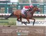 AP Indian wins Decathalon Stakes