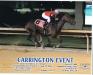 Carrington Event wins at Charles Town