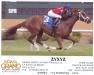 Zyxyz wins maiden race by 5